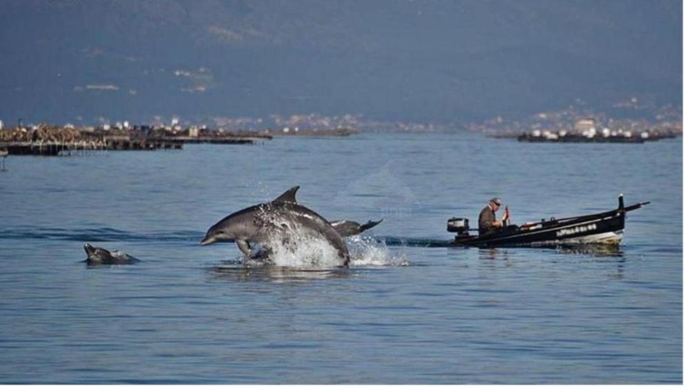 Moaña Mar Y Montana 아파트 외부 사진